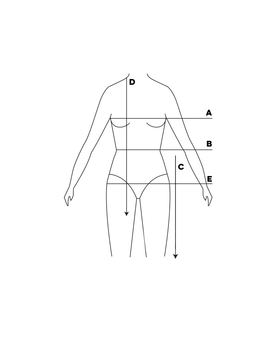 Photo 9 8 19 10 08 09 am 2048x2048.jpg copy cde0acc6 e98c 4009 8684 fc7330fc7e7e