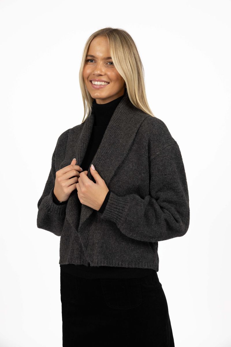 Model in studio wearing Liana Cardi in Charcoal over black skivvy, close-up front-side view holding lapels 